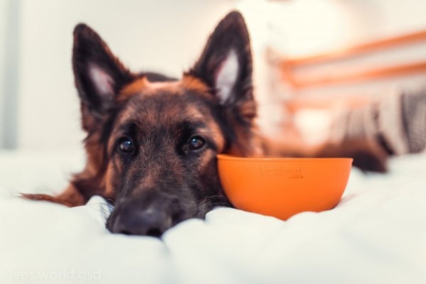 Mata LickiMat® Wobble™ zielona