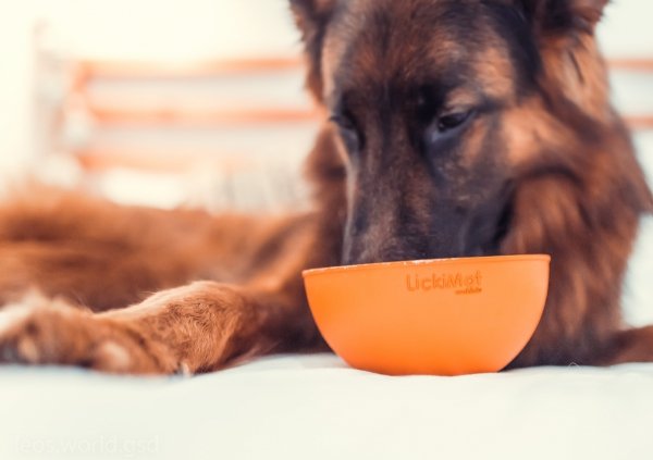 ZESTAW! LickiMat® Wobble™ + YOW UP! Skóra &amp; Sierść Jogurt dla psa z łososiem