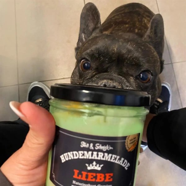 Stevi &amp; Schnück‘s Hundemarmelade Liebe DŻEM DOBRY MIŁOŚĆ 275g