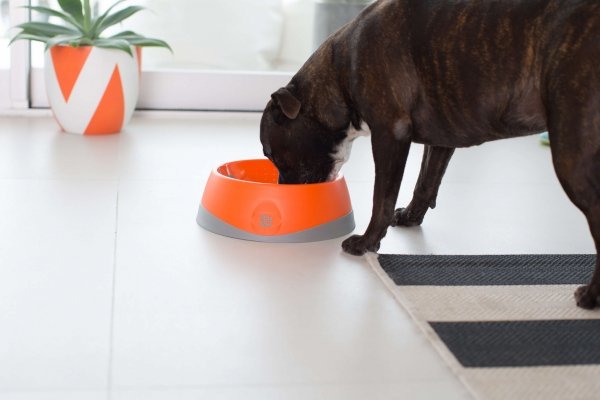 OH Bowl® Miska dbająca o higienę jamy ustnej psa Czarna rozmiar M