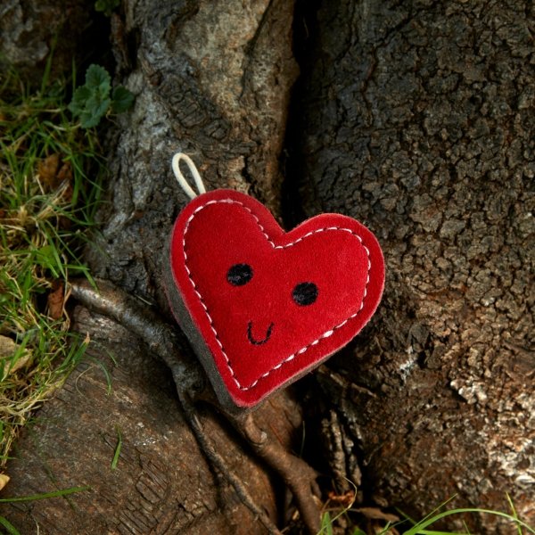 Zestaw Psi AMOR - gotowy prezent dla psa