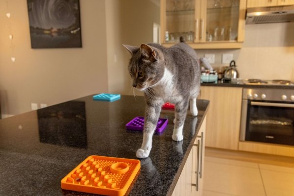 Mata LickiMat® Classic Catster™ turkusowa