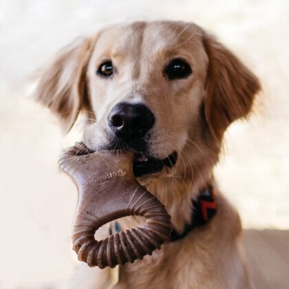 Gryzak dla psa Benebone Dental Chew L Bekon