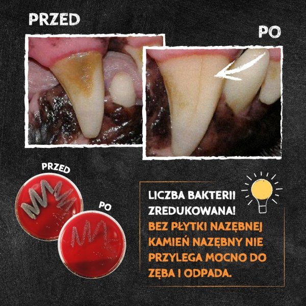 QCHEFS Cheesies do higieny jamy ustnej Przysmaki dentystyczne dla psa