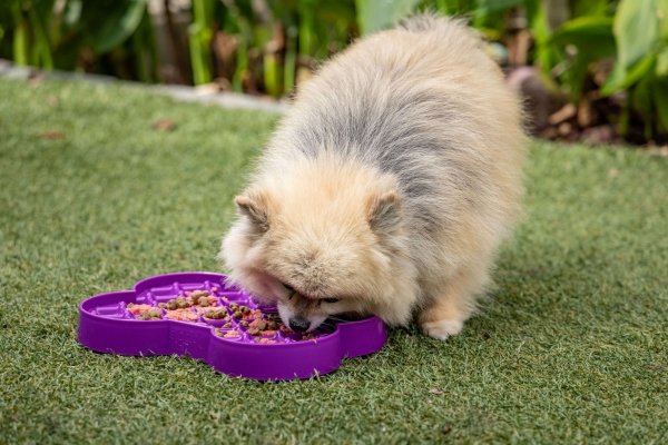 Miska slow food spowalniająca jedzenie SMALL SLODOG® turkusowa dla psa i kota