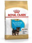 Royal 257780 Yorkshire Puppy 500g