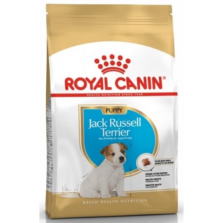 Royal 257580 Jack Russel Puppy 500g