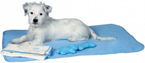 Trixie 15588 Zestaw (ręcznik,koc,zabawka) błękit*