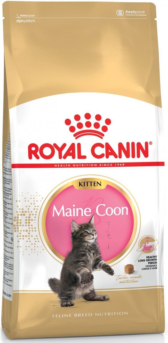 Royal 252090 Maine Coon Kitten 4kg
