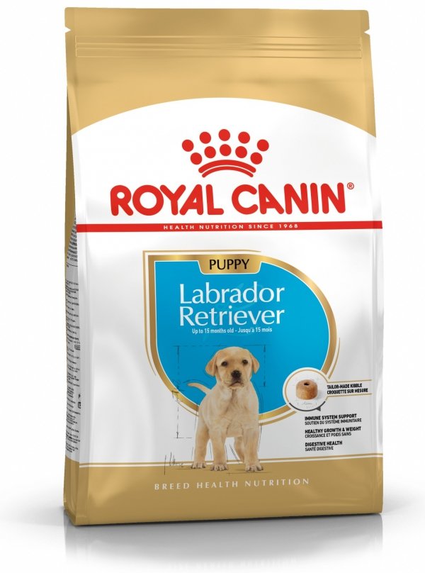 Royal 266520 Labrador Retriever Puppy 12kg