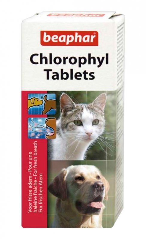 Beaphar 13706 Tabletki z Chlorofilem 30szt.