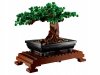 Zestaw Prezent Klocki LEGO ICONS 10281 Botanical Drzewko Bonsai + Torba