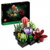 Zestaw Prezent Klocki LEGO ICONS 10309 Botanical Sukulenty Kwiaty + Torba