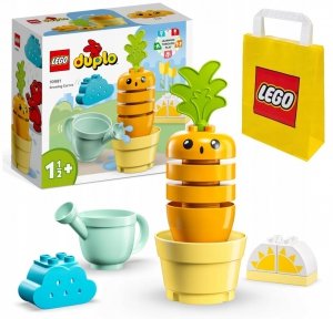 Zestaw Prezent LEGO Duplo 10981 Rosnąca Marchewka Ogród Klocki 2+ Torba
