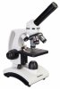 Mikroskop cyfrowy Levenhuk Discovery Pico Polar z książką