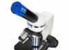 (PL) Mikroskop cyfrowy Levenhuk Discovery Femto Polar z książką