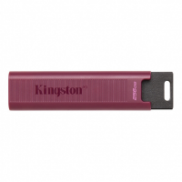 Pendrive KINGSTON DTMAXA/1TB (1 TB /Fioletowy ) 