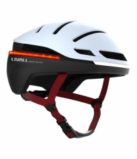 EVO21-L-SNW 