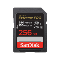 Karta pamięci SANDISK 256 GB 