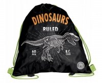 Worek szkolny na obuwie Dinozaur PASO 