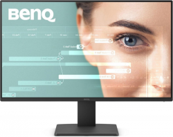 Monitor BENQ GW2491 9H.LNELJ.LBE (24 /IPS /100Hz /1920 x 1080 /Czarny )
