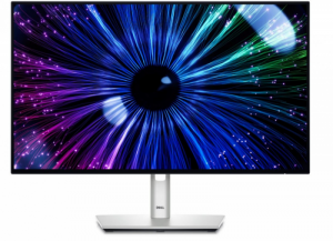 Monitor DELL 210-BKJF (23.8 /TFT IPS /120Hz /1920 x 1080 /Srebrny )