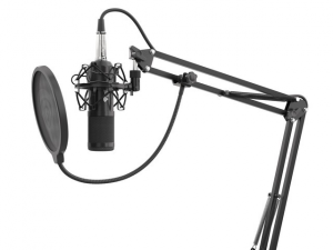 Mikrofon NATEC Radium 300 NGM-1695