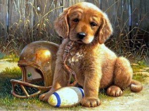 Diamentowa mozaika Piesek Haft Diamentowy#CZ