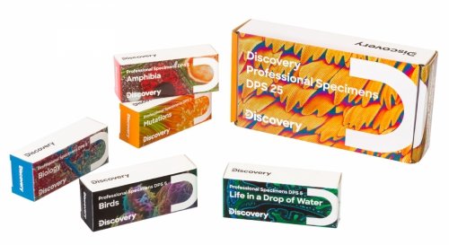 Zestaw mikropreparatów Levenhuk Discovery Prof DPS 5. „Ptaki”