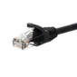NETRACK CAT6 UTP 2 m Czarny 2 Patchcord 