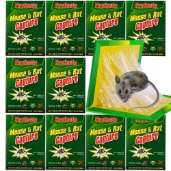 Myszołapka klej na myszy 10 sztuk