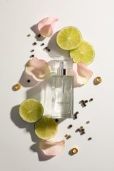 PERFUMY MĘSKIE INDICADO TOMONSKI 50 ml