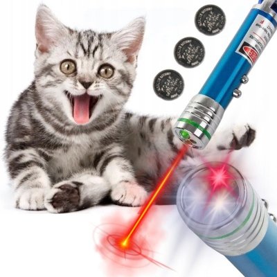 Laser prezentacyjny i zabawka dla kota