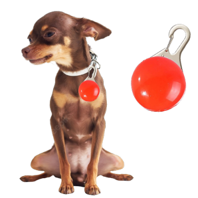 Lampka led na obrożę