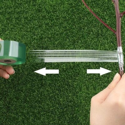 Taśma do szczepienia roślin 100m