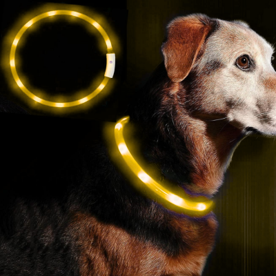 żółta obroża led