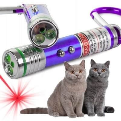 Laser prezentacyjny i zabawka dla kota