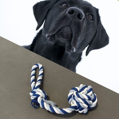 Szarpak dla psa sznur pleciony węzeł