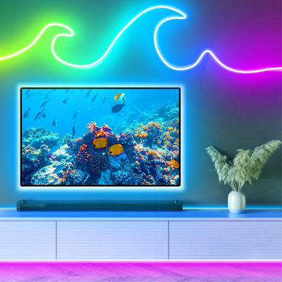 Taśma LED neonowa RGB+IC 5m z pilotem