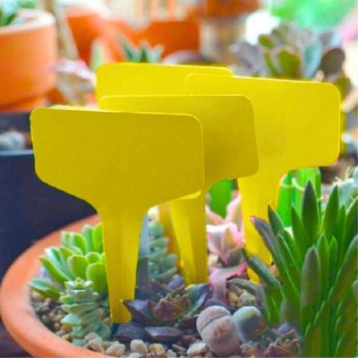 Etykiety tabliczki do sadzonek roślin 10x6 cm 100 sztuk