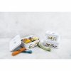 Lunch Box Plastikowy Dinos 1.6l Fresh & Save Zwilling