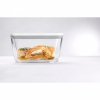 Plastikowy Pojemnik Prostokątny 1.1 litr Fresh & Save Zwilling