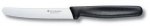 Nóż kuchenny wielofunkcyjny Victorinox 5.0833