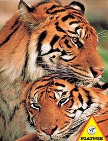 Puzzle Para tygrysów Piatnik