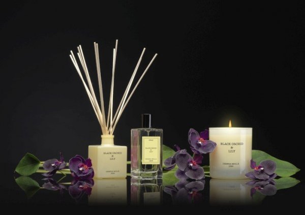 CM - Zapas do dyfuzora 200ml Black Orchid and Lily