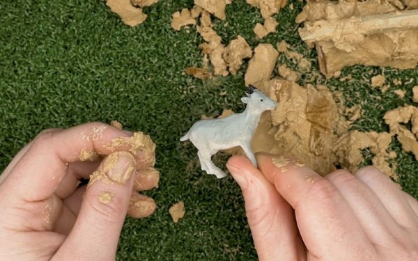 Zwierzęta z gospodarstwa rolnego