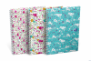 Kołonotatnik A5 60 kartek linia/tagi Floral Oxford 400094953