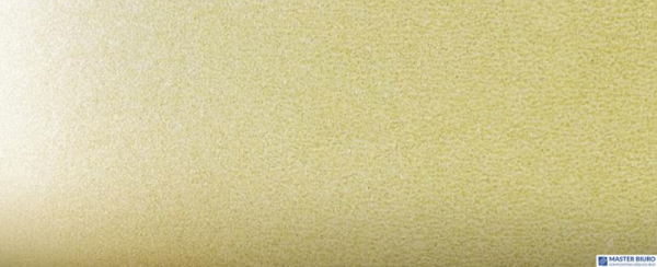 Karton ozdobny A4 MILLENIUM żółty (20) 220g 200719 ARGO