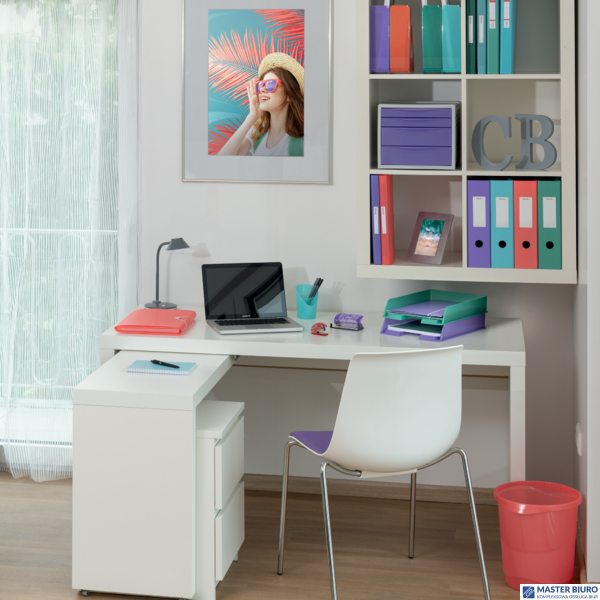 Kołonotatnik Colour Breeze A4, w kratkę, koralowy Esselte 628478