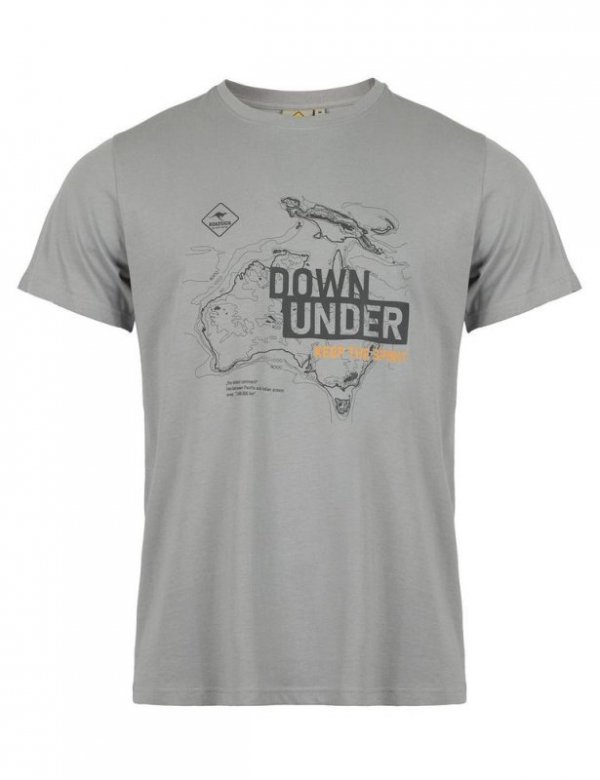 T-SHIRT MĘSKI ROADSIGN BRAND SZARY 21-035514, 21-035515, 21-035516, 21-035517, 21-035518